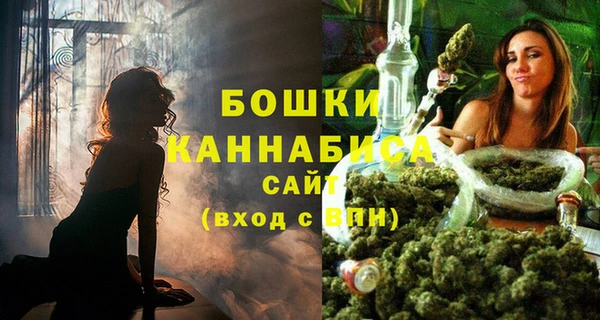 мескалин Новодвинск