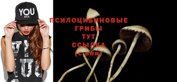 гидропоника Новозыбков