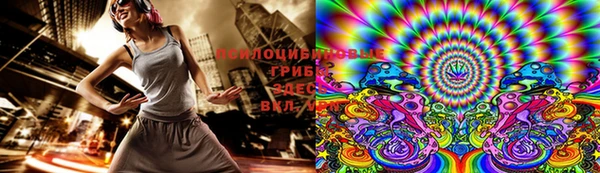 ешки Новокубанск