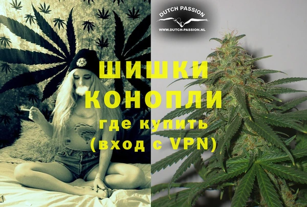 гидропоника Новозыбков