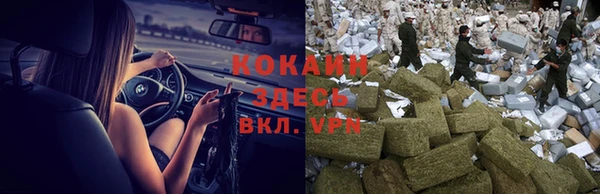ешки Новокубанск