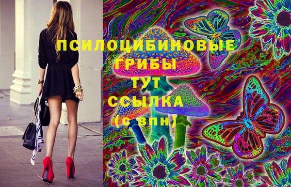 ешки Новокубанск