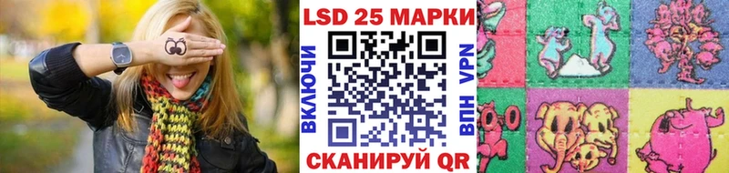 купить закладку  blacksprut ссылка  Марки N-bome 1500мкг  площадка наркотические препараты  Майкоп 