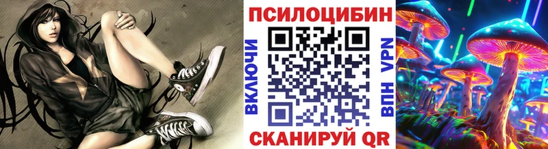 Псилоцибиновые грибы Psilocybine cubensis  Майкоп 