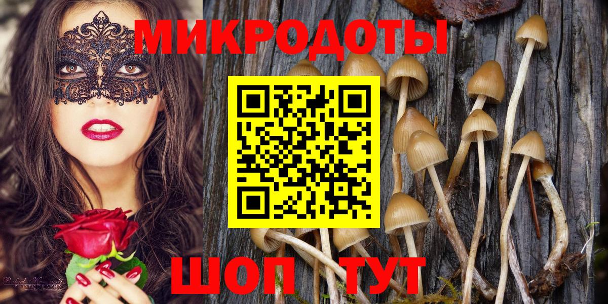 Псилоцибиновые грибы мухоморы  Вход с VPN  Галлюциногенные грибы прущие грибы  магазин продажи наркотиков  Майкоп 
