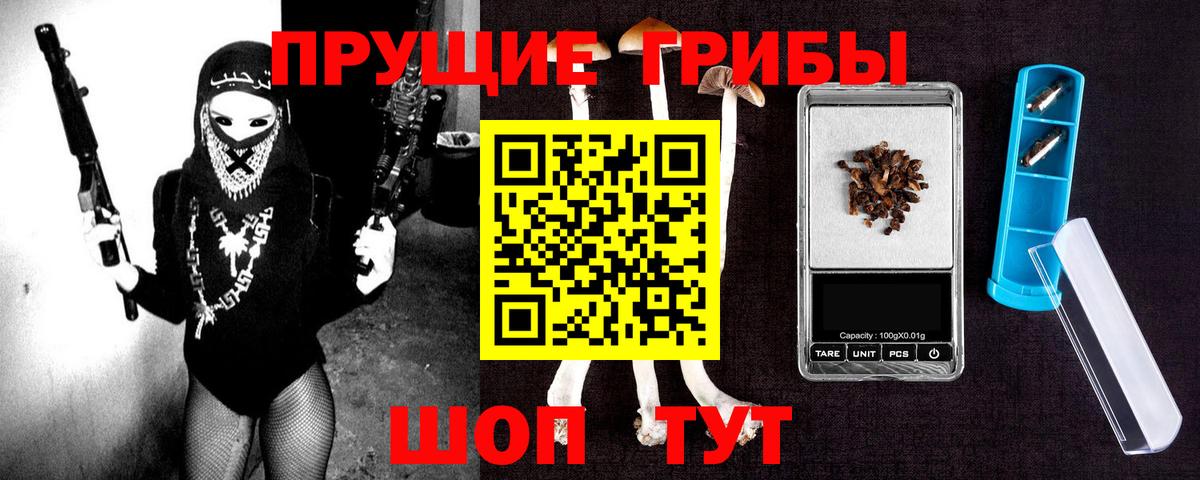 Псилоцибиновые грибы прущие грибы  Майкоп  Галлюциногенные грибы MAGIC MUSHROOMS 