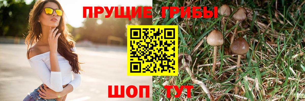 Галлюциногенные грибы Magic Shrooms Майкоп