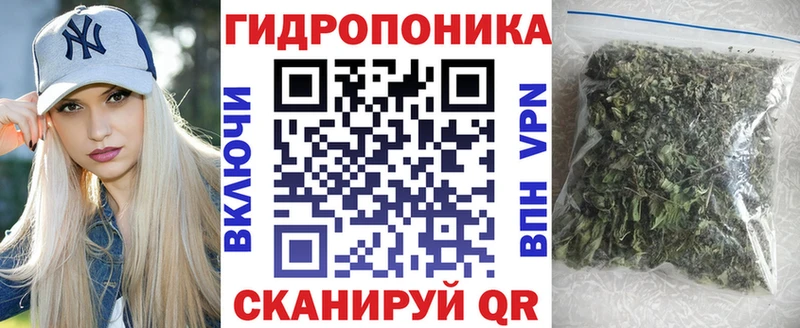 Конопля AK-47  hydra   Майкоп 