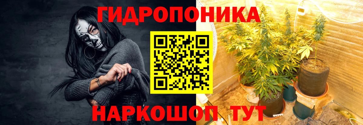 Майкоп  Бошки Шишки сатива  Вход с VPN  Канабис гибрид 